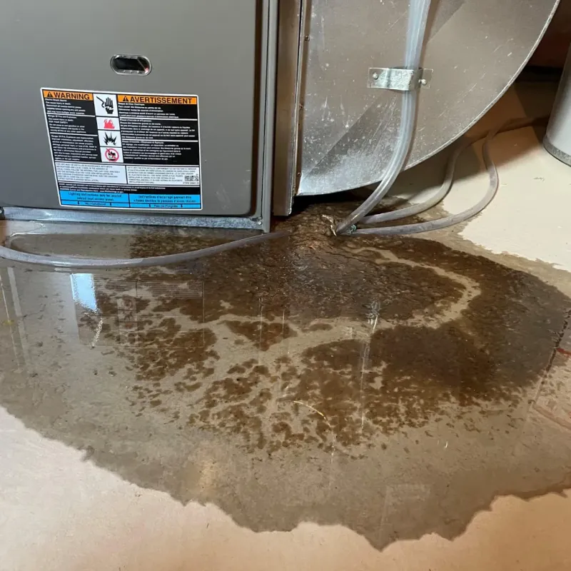 Appliance Leak Cleanup in Tuscaloosa County, AL